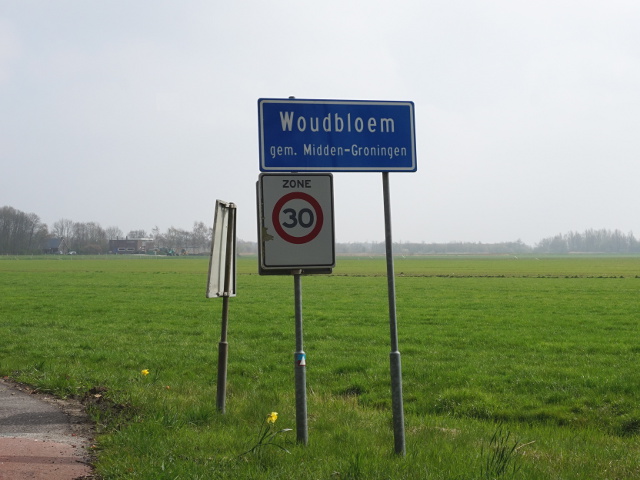 DSC01076woudbloem_b