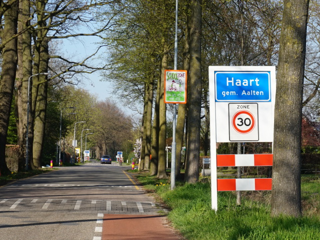 DSC01174haart_b
