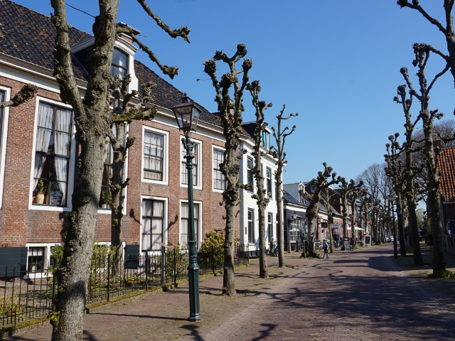 DSC01415langweer_z