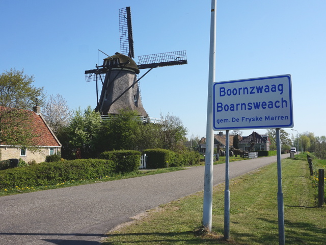 DSC01417boornzwaag_w