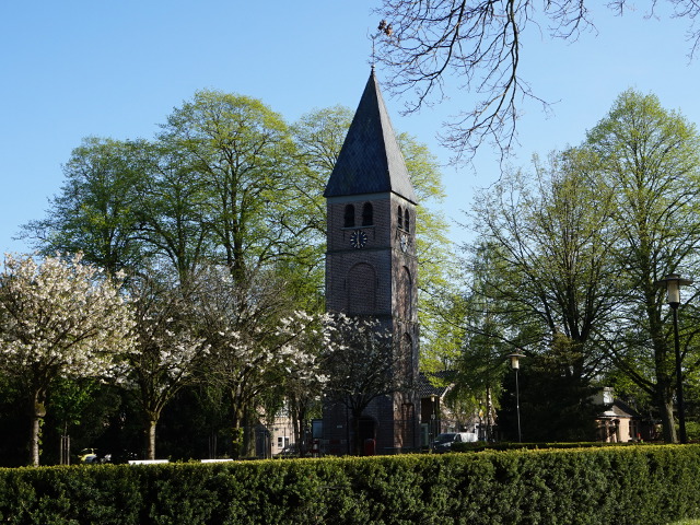 DSC01483nieuwschoonebeek_z