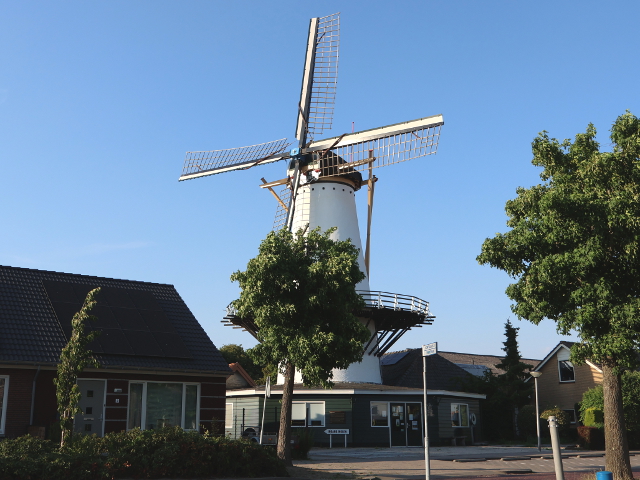 IMG_1618westmaas_z