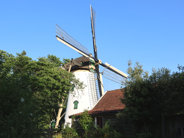 IMG_1619mijnsheerenland_z