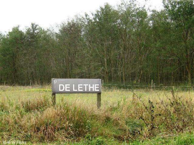 delethe5042