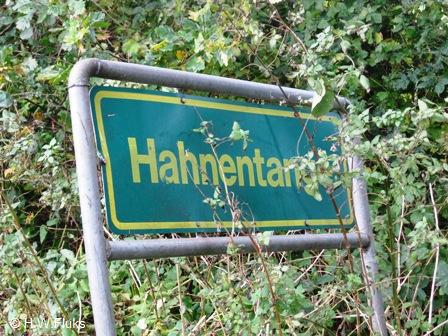 hahnentange5071