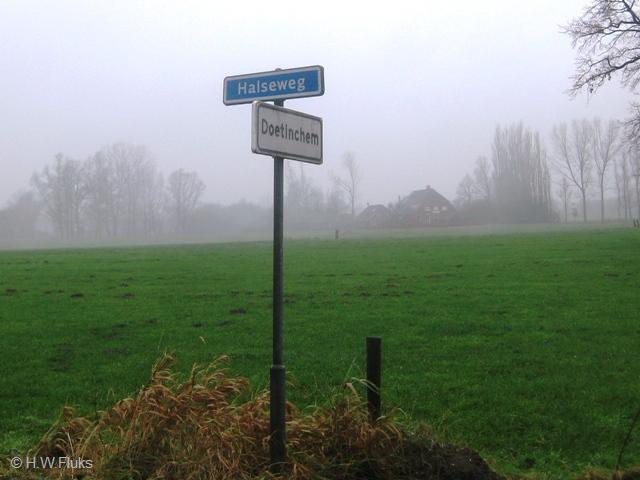 hallenijmandoet7256