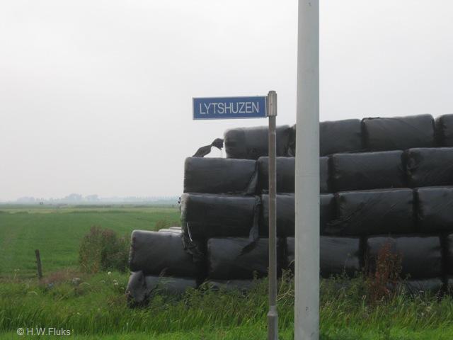 lytshuzen4046