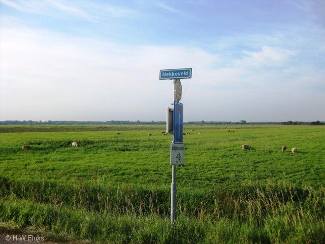 nekkeveld4284