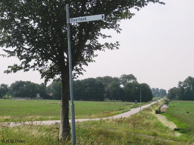 overleek4265