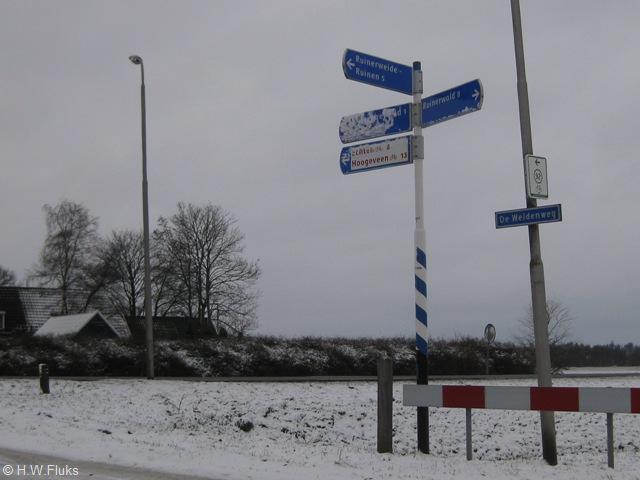 ruinerweide5653