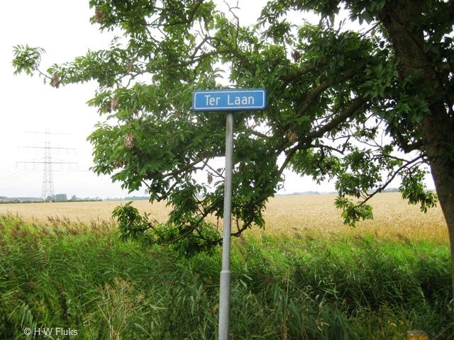 terlaan4061