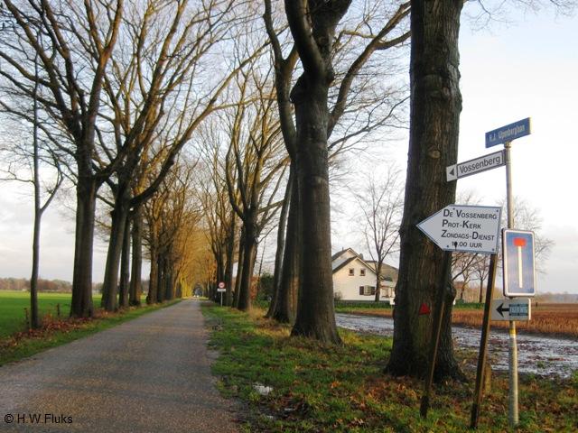 vossenberg5361