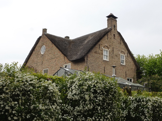 DSC01749uitwijk_z