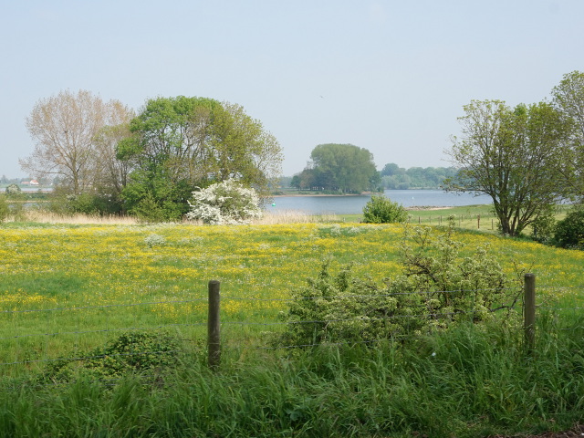 DSC01779wijkenaalburg_z