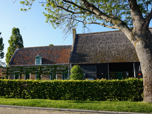 DSC02152borssele_z
