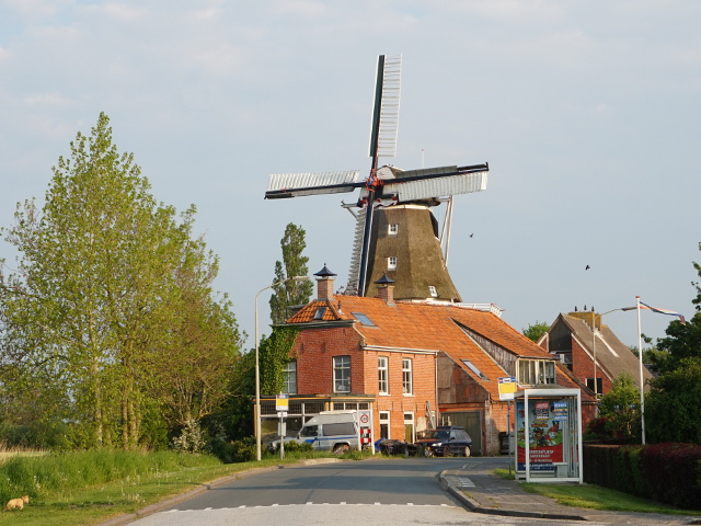 DSC02271kantens_z