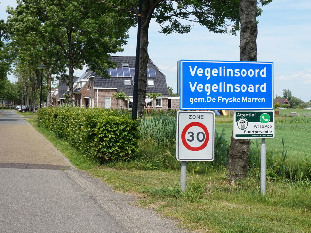 DSC02768vegelinsoord_b