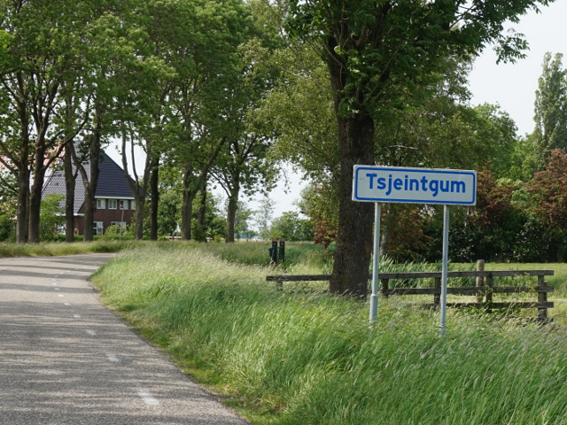 DSC02812tsjeintgum_w