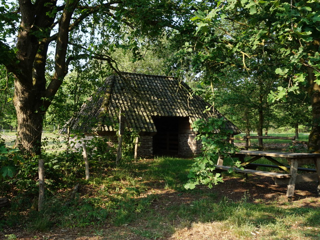 DSC02938evertsoord_z