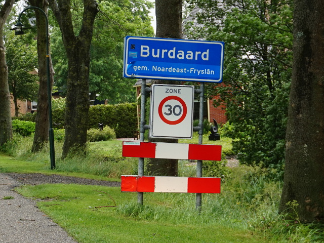 DSC03055burdaard_b
