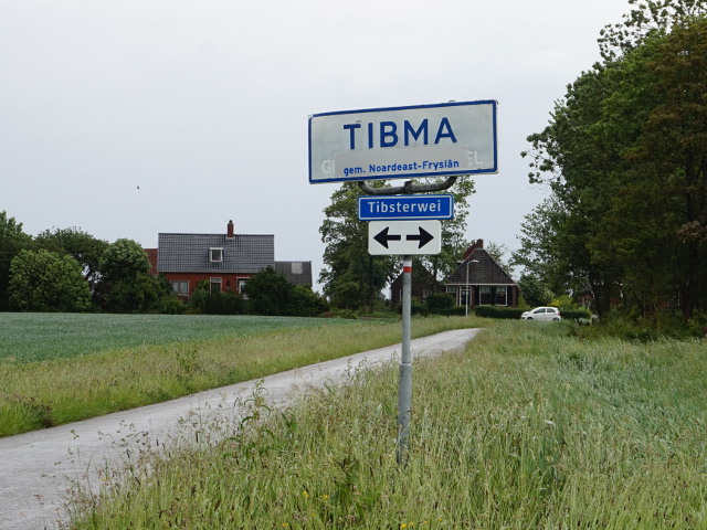 DSC03070tibma_w
