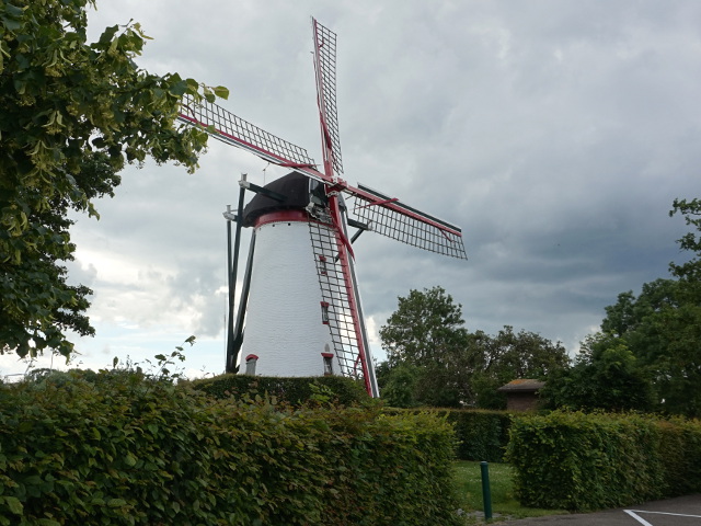 DSC03206spui_z