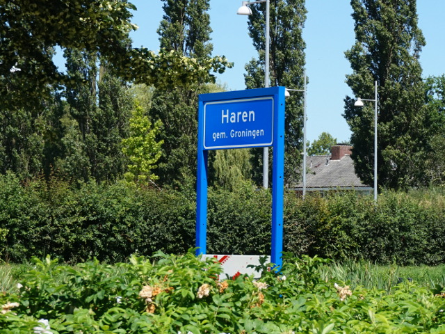 DSC03425haren_b