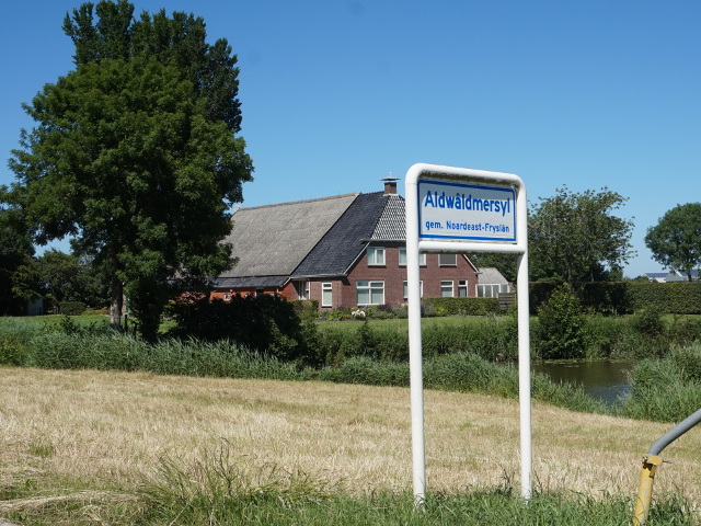 DSC03446aldwaldmersyl_w
