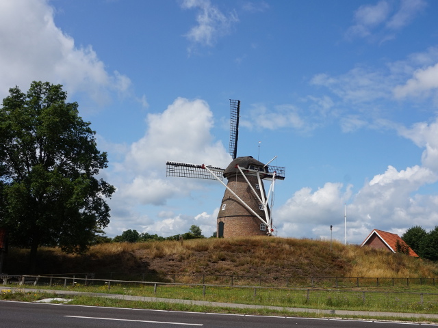 DSC04027fleringen_z