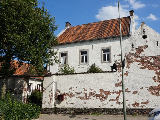 DSC04965jabeek_z