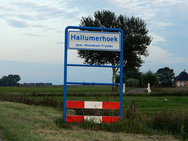 DSC05260hallumerhoek_w