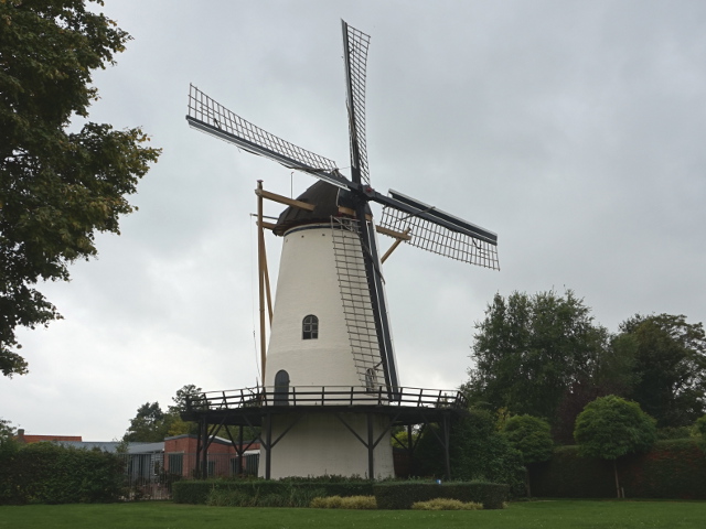 DSC05320rilland_z