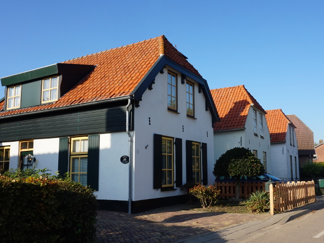 DSC06179drongelen_z