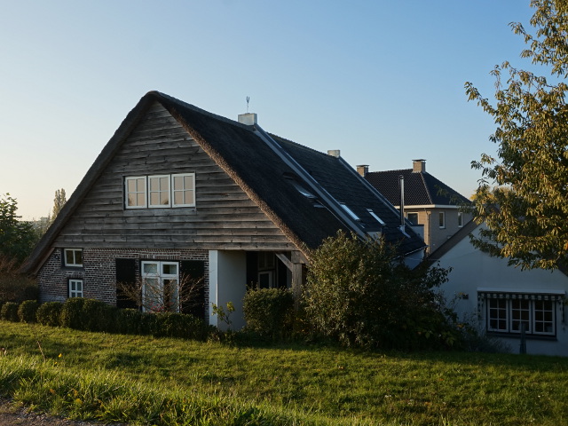 DSC06204hoenzadriel_z