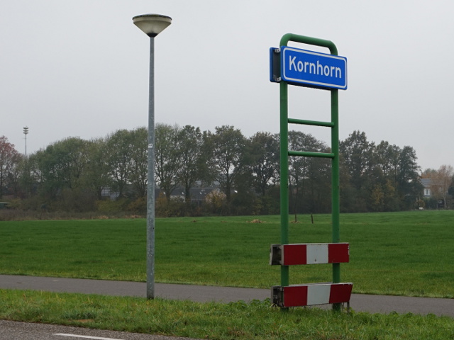 DSC06322kornhorn_b