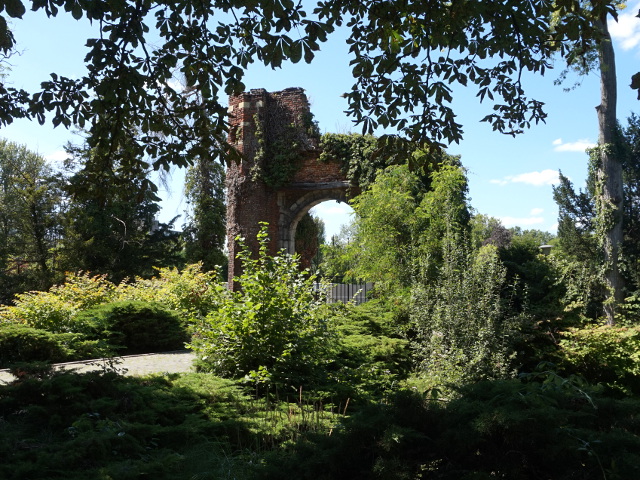 DSC00649weert_z