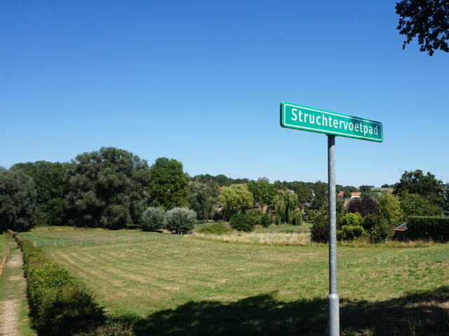 DSC01034strucht_n
