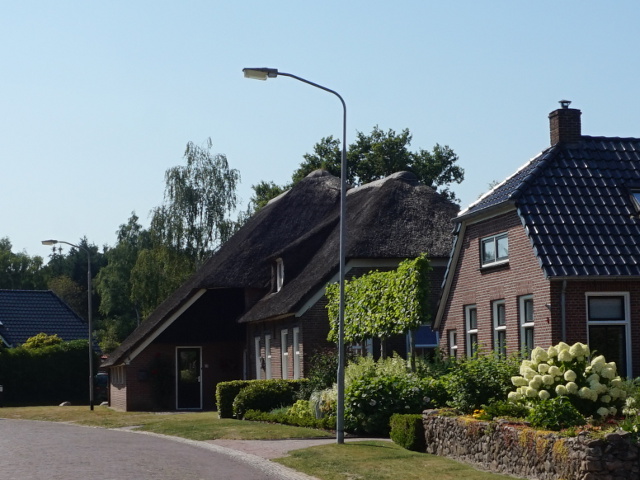 DSC01598grolloo_z