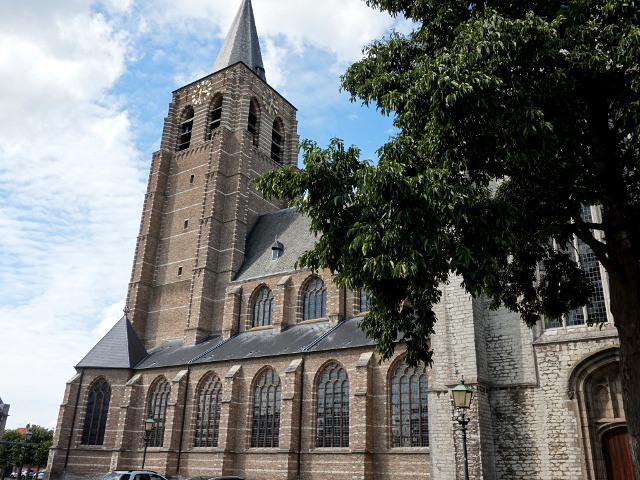 DSC02599wouw_z