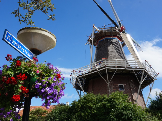 DSC02694winsum_z