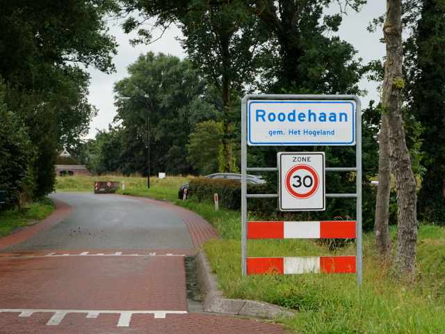 DSC02703roodehaan_w