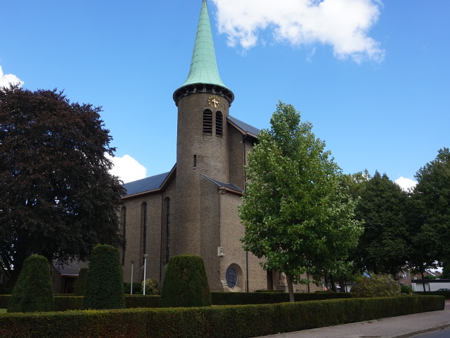 DSC03053genhout_z