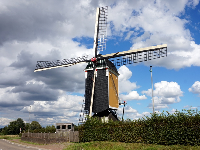 DSC03055genhout_z