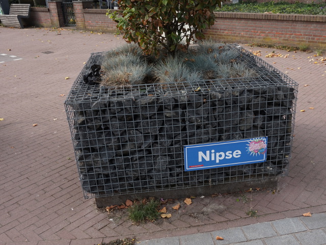 DSC05059nispennipse_n