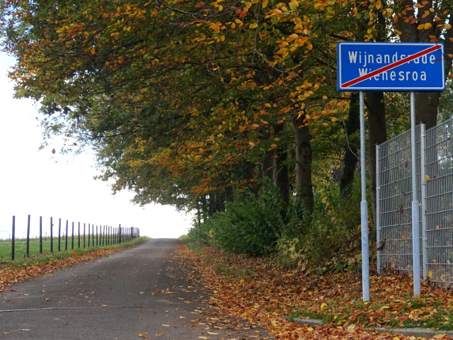 DSC07537wijnandsrade_e