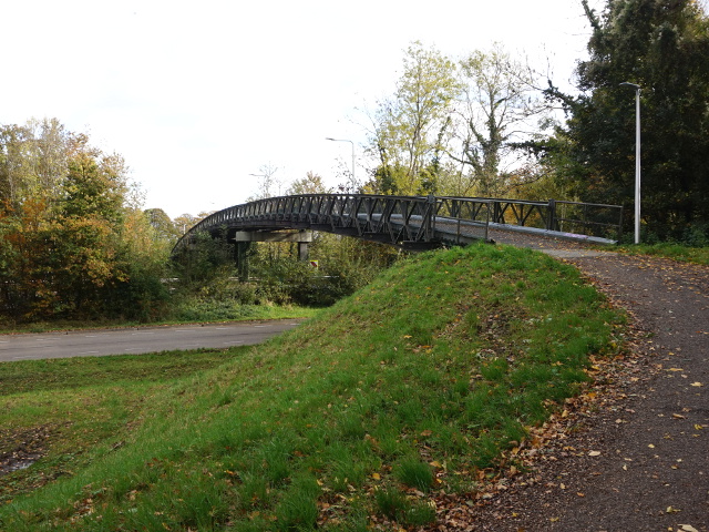 DSC07556tenesschenbaileybrug_z