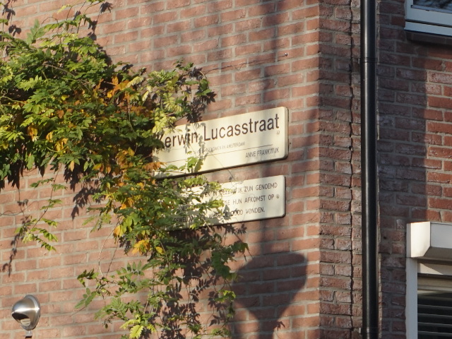 DSC07953diemenannefrankwijk_s
