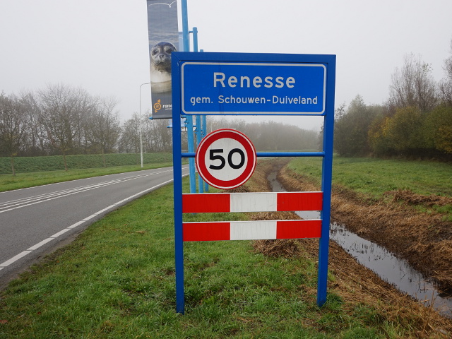 DSC08076renesse_b