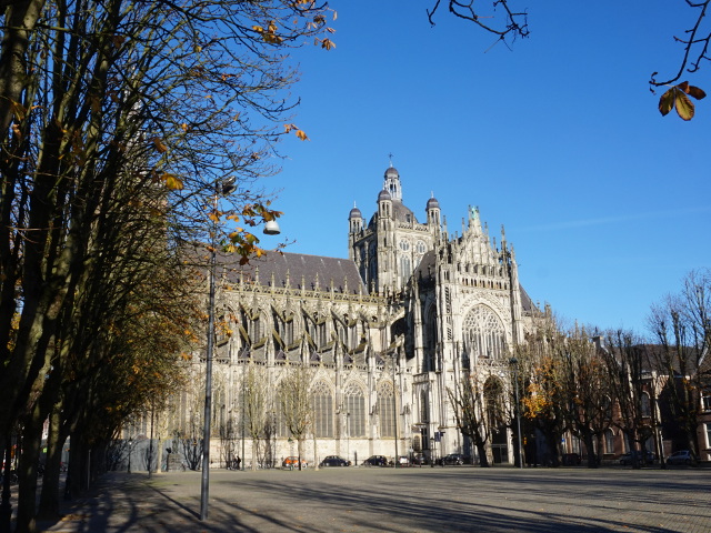 DSC08249denbosch_z