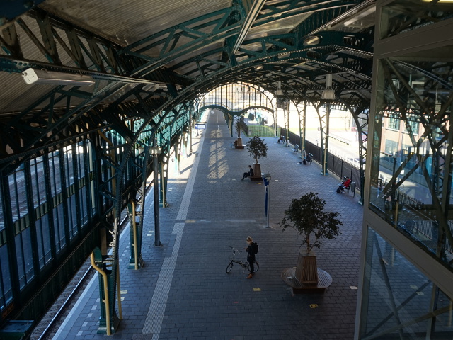 DSC08298denbosch_z